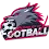Leagues Of Football