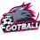 Leagues Of Football