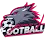 Leagues Of Football